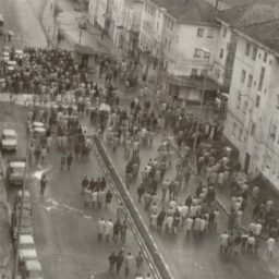 Ferrol 1972: unha loita común