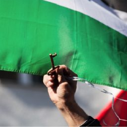 Palestina, resistir ou morrer